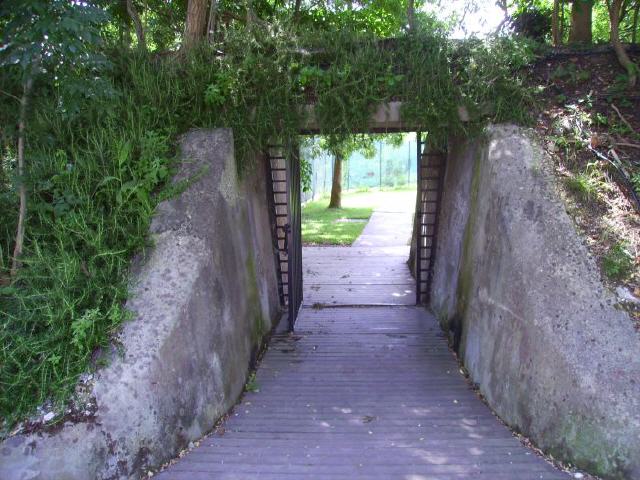 Venedig - Insel Certosa