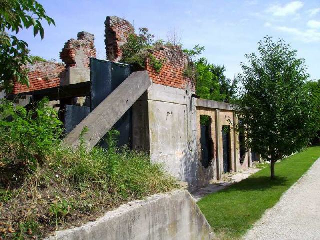 Venedig - Insel Certosa