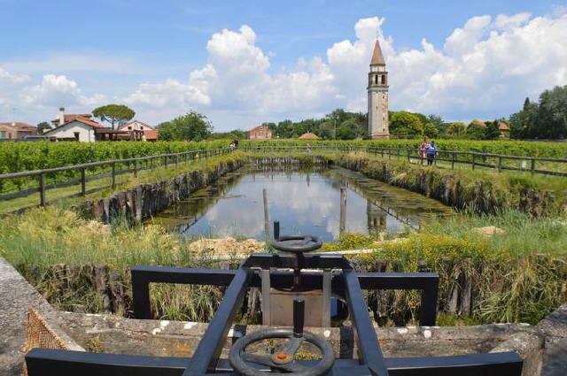 Venedig - Insel Mazzorbo