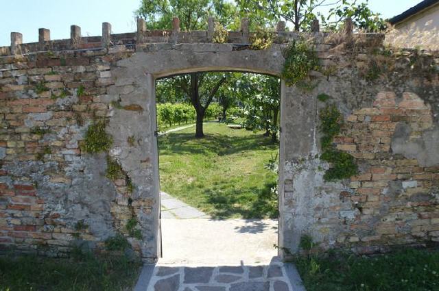 Venedig - Insel Mazzorbo