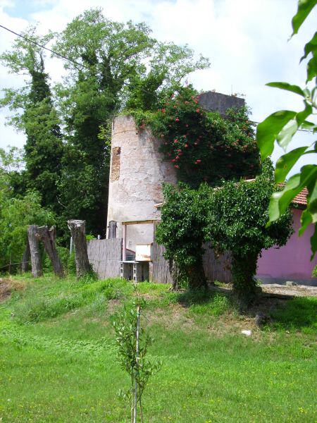 Venedig - Insel Sant'Erasmo